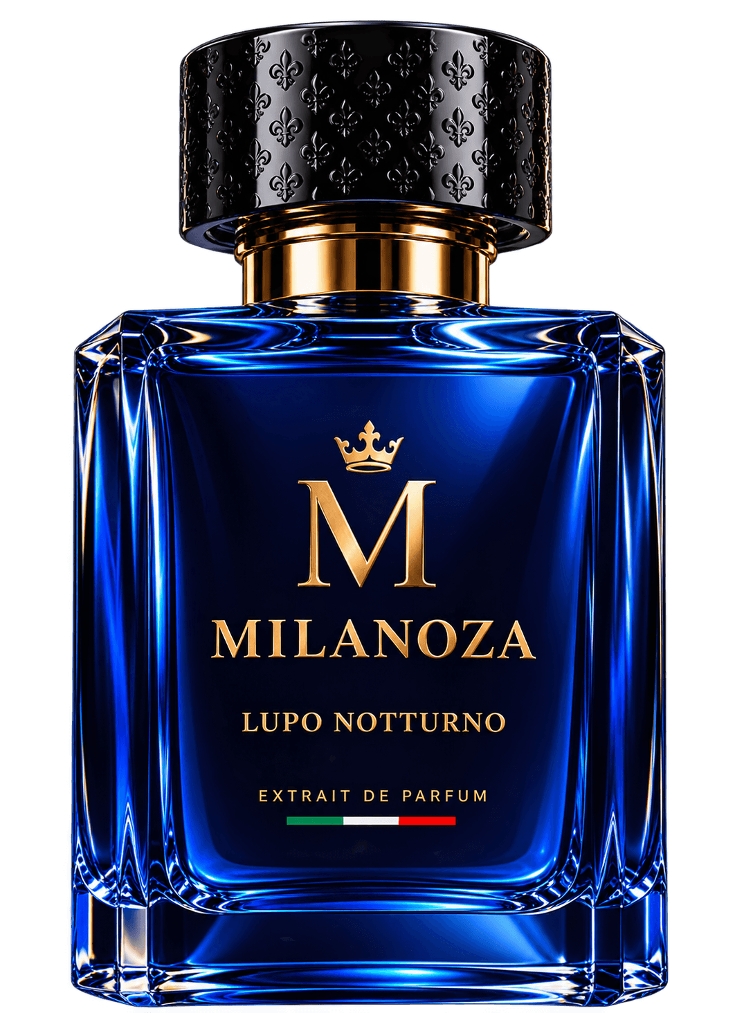 Lupo Notturno